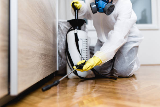 Best Pest Prevention Services  in Rochester, IN