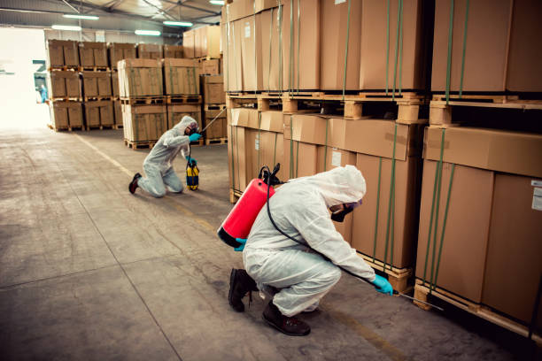 Pest Prevention Services in Rochester, IN