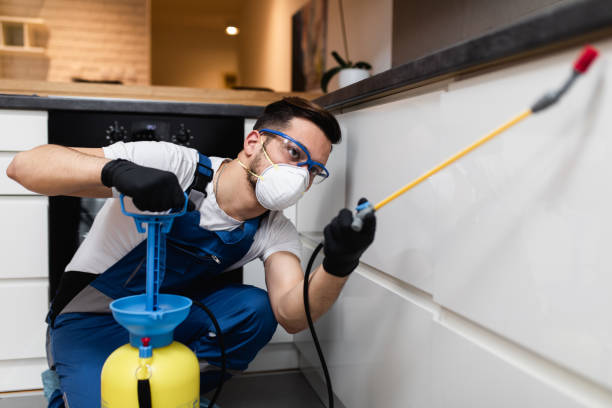 Best Wasp Removal Services  in Rochester, IN