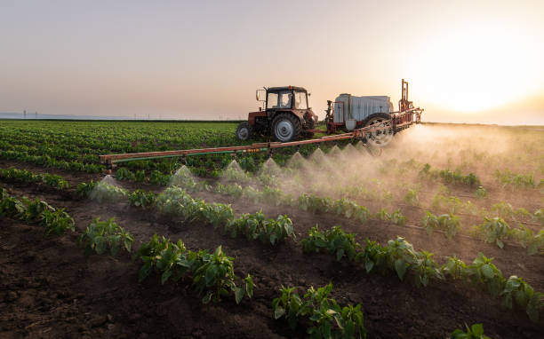 Best Commercial Pest Control Services  in Rochester, IN