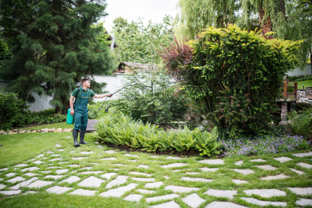 Best Residential Pest Control  in Rochester, IN