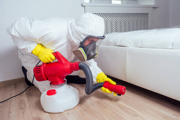 Best Insect Control  in Rochester, IN