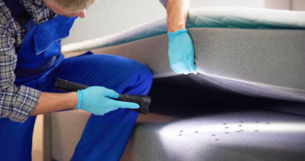 Best Flea Control Services  in Rochester, IN