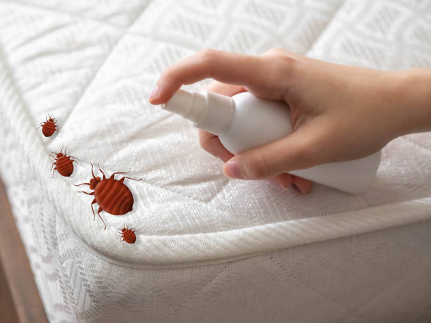 Trusted Rochester, IN Pest Control Experts