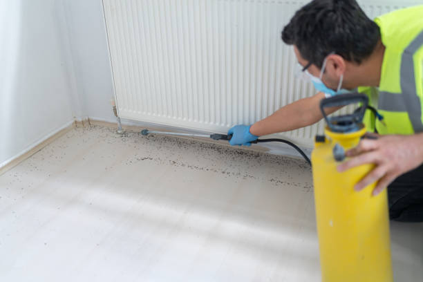 Best Commercial Pest Control Services  in Rochester, IN
